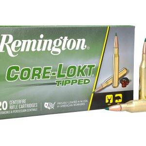 Mun. Remington 243Win 95grs Core-Lokt Tipped - 29015