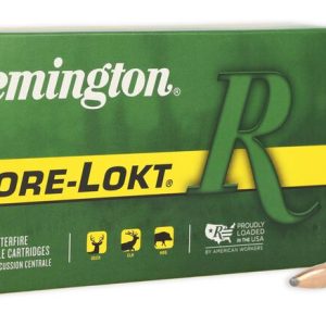 Mun. Remington 300WSM 150grs Core-Lokt PSP - 29489