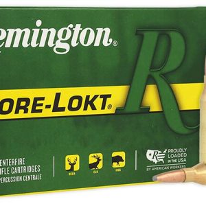 Mun. Remington 243Win 100grs Core-Lokt PSP - 27802
